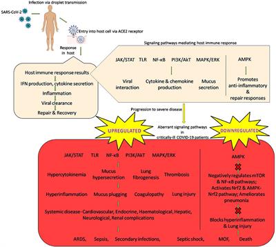 Nanotechnology to the Rescue: Treatment Perspective for the Immune Dysregulation Observed in COVID-19